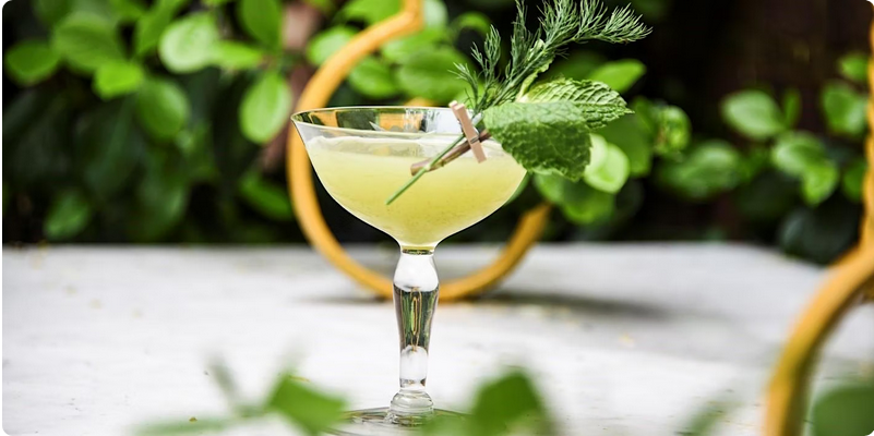 A yellow cocktail in a coupe garnished with a sprig of greenery.