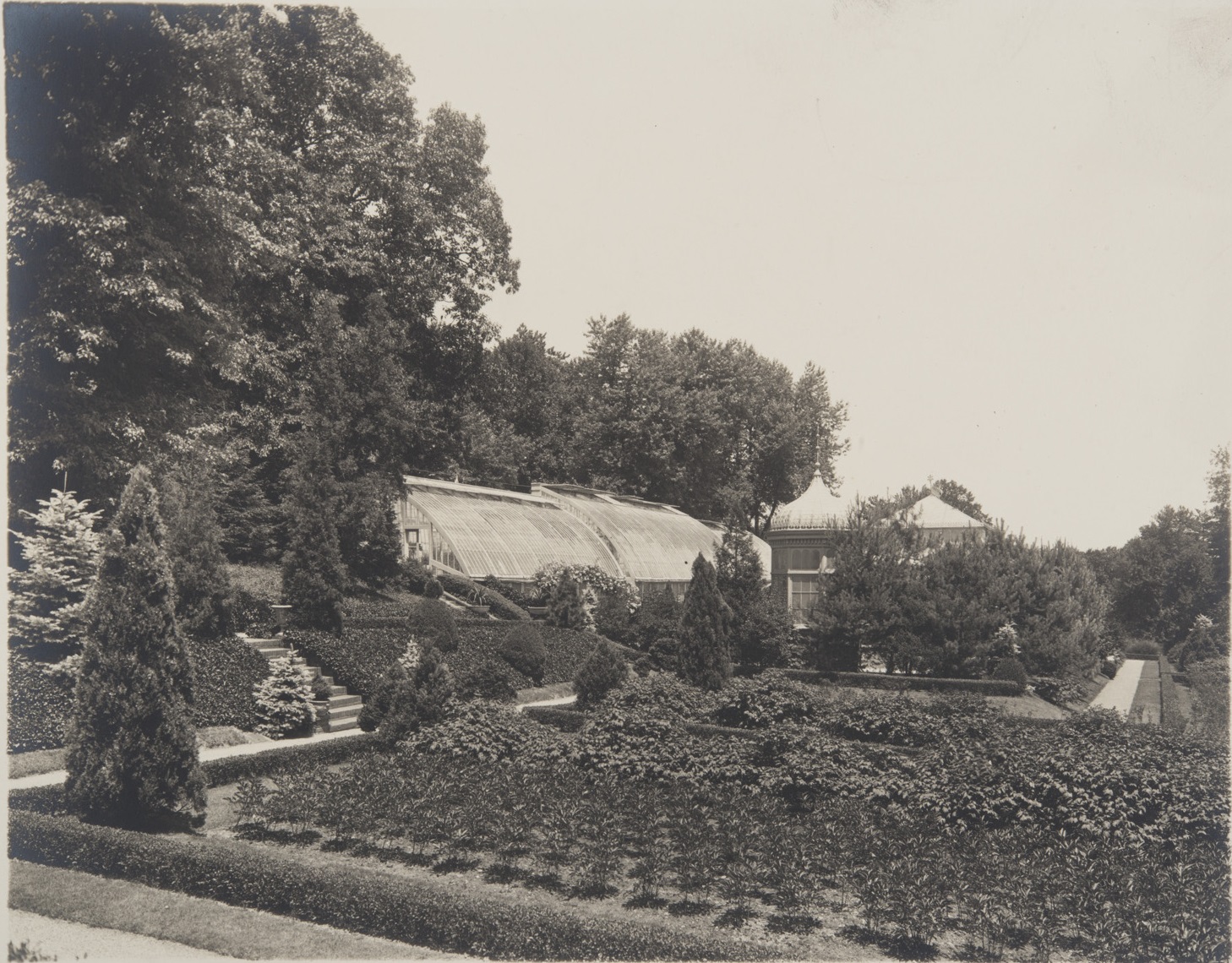 Historical image of Evergreen's gardens and greenhouses.